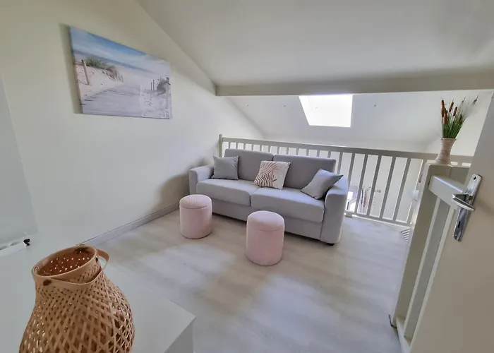 Bisca Dune Duplex Renove Vue Dune 150m De L'ocean Appartement *